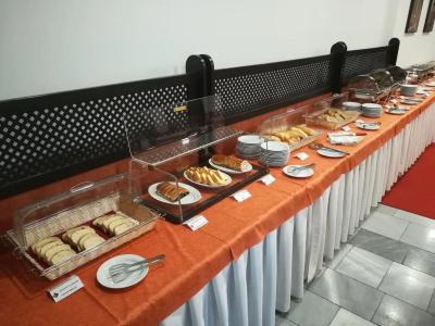 Satel - 11
