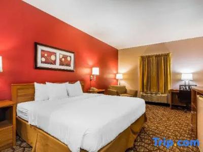 Quality Inn & Suites Chesterfield Village - 31