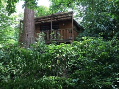 Manoir Du Parc (Adults only) - 16