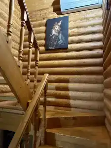 Лесное поместье - 8