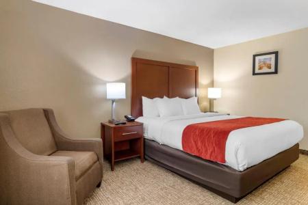 Comfort Inn & Suites North I-75 - 24