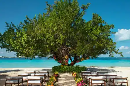 Dreams Corfu Resort & Spa - 21