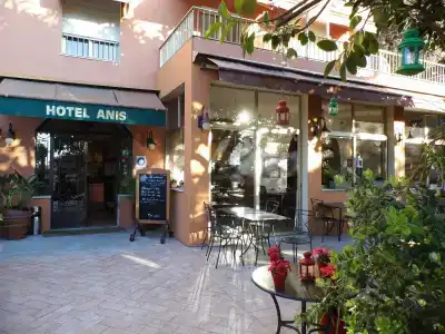 Anis - 14