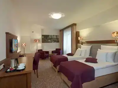 Mercure Krynica Zdrój Resort&Spa - 47