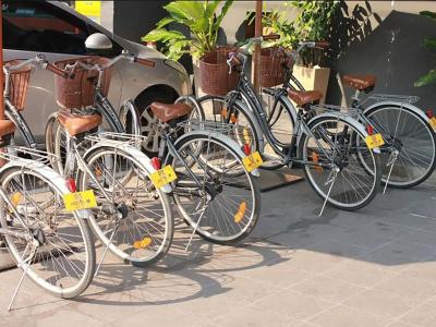 m Chiang Mai - 18