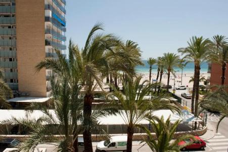 El Palmeral - 73