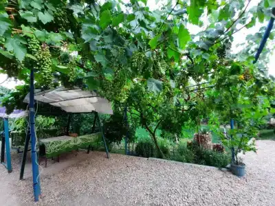 Ararat b&b - 2