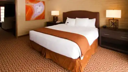 DoubleTree Suites by Hilton Tucson-Williams Center - 78