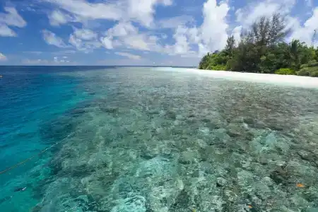 Bathala Island - 43