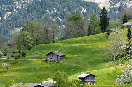 Aspen Alpine Lifestyle - 170
