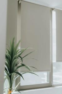 elia boutique - 28