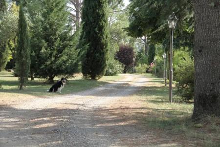 Villa Rigacci - 44