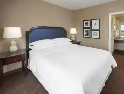 Sheraton Suites Houston Near the Galleria - 21