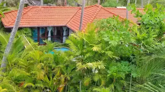 Good Karma Ayurvedic Resort - 61