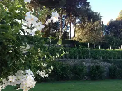 Villa Agnese - 12