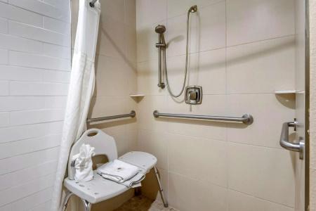 Comfort Suites - University - 67