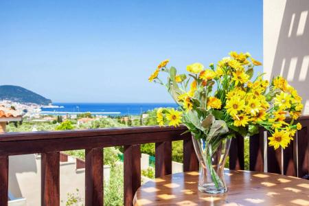 Skopelos Holidays & Spa - 48