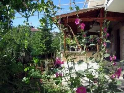 Kose Pension - 28