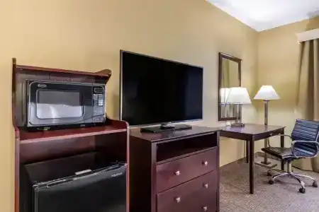 Comfort Inn & Suites - 32