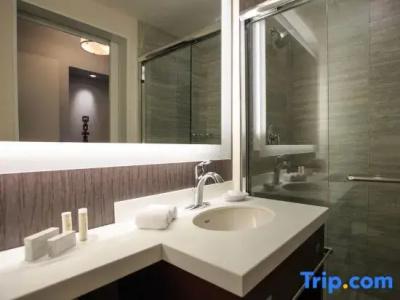 Courtyard by Marriott Boston Downtown - 105