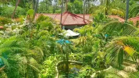 Good Karma Ayurvedic Resort - 68