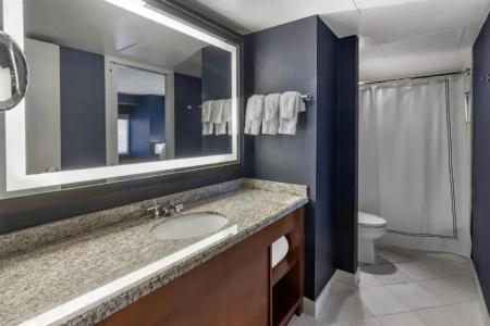 Omni Chicago & Suites Magnificent Mile - 114