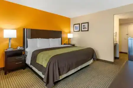 Comfort Inn 290/Nw - 37
