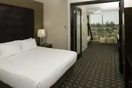 Hyatt Regency Orange County - 38