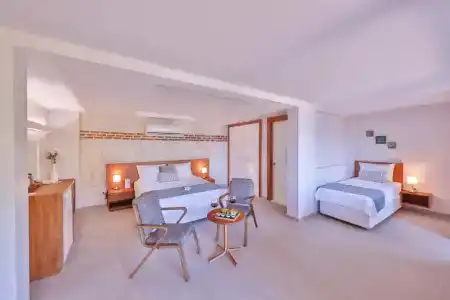 Olea Nova - 62