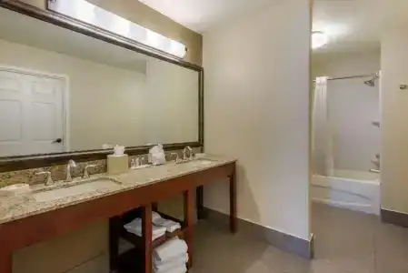 Comfort Suites - 29