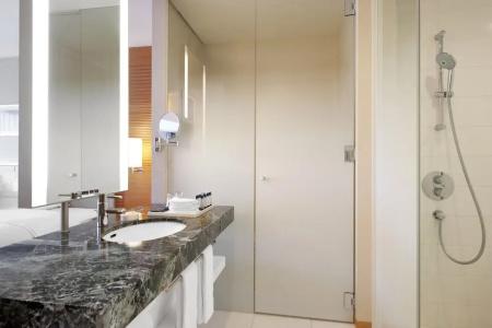 Sheraton Grand Hiroshima - 43