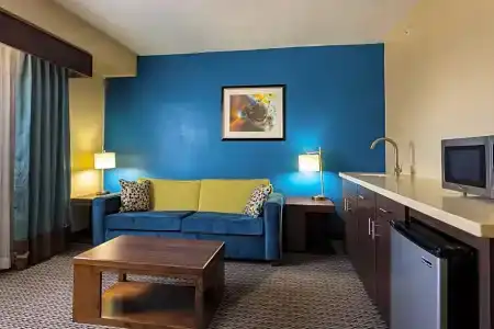 Holiday Inn Houston Downtown, An Ihg - 109
