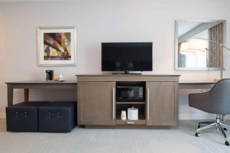 Hampton Inn and Suites - 30