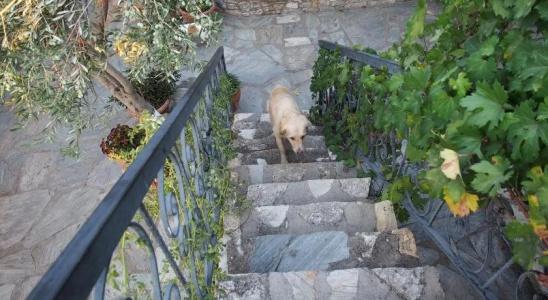 Bahab Guest House - 17