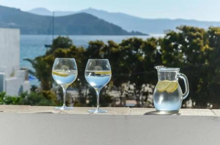 Naxos Resort Beach - 12