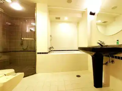 Premier -Tsubaki- Sapporo - 9