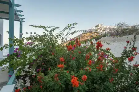 Aphrodite Studios - 17
