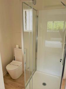 Ranfurly Evergreen - 19