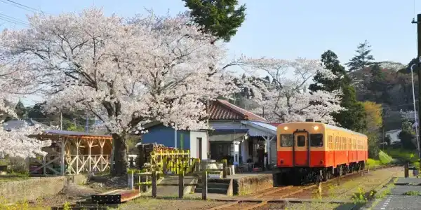 Ichihara Marine - 20