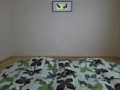Guest House Aoi Nakamoto - 26