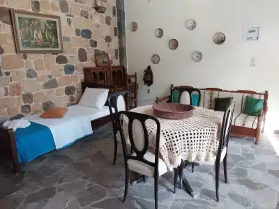 Ela Mesa - 101