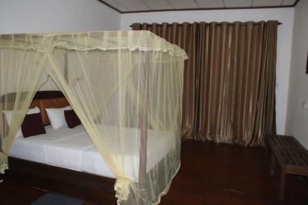 The Grand Yala - 12