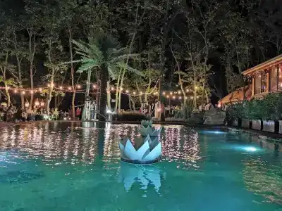 Utopia Forest - 17