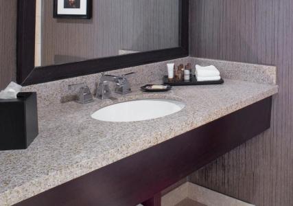 Sheraton North Houston at George Bush Intercontinental - 3