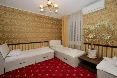 Бегемот - 15