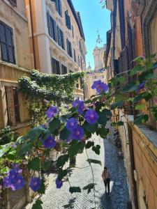 b&b All'Orologio - 19