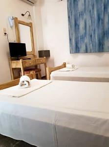 Amazones Village Suites - 170
