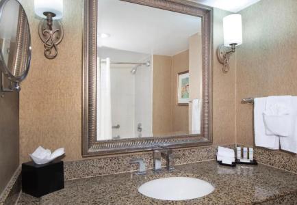 Embassy Suites by Hilton Dallas Near the Galleria - 50