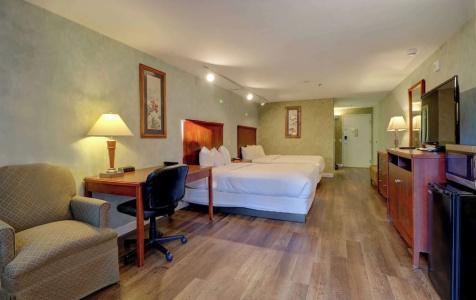 Senator Inn & Spa - 93