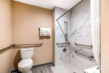 Quality Inn & Suites - 42